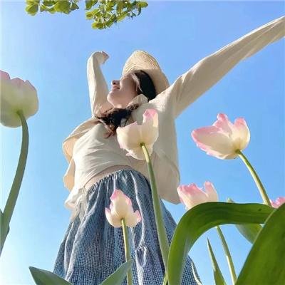 垂花琴木